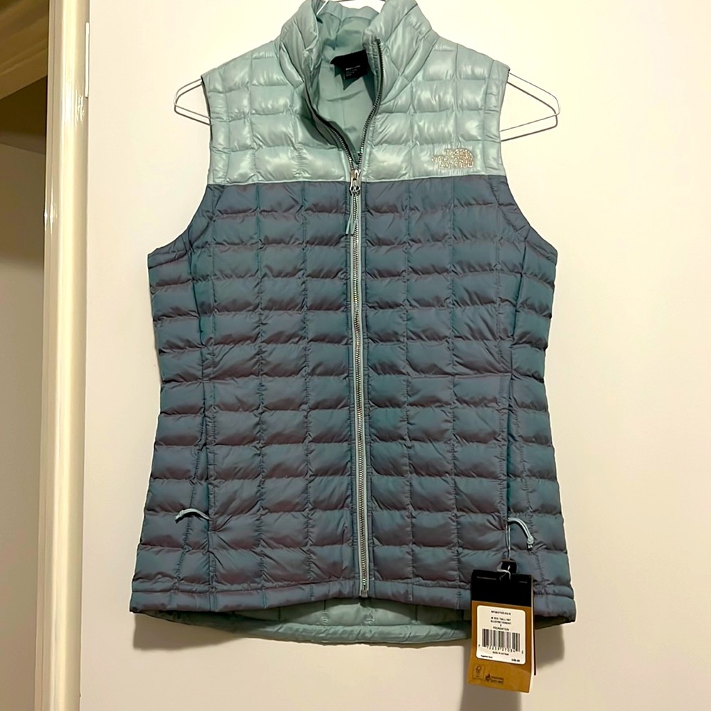 Womens Blue Iridescent North Face Vest